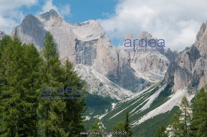 : A splendid glimpse of the dolomites of Trentino : A splendid glimpse of the dolomites of Trentino