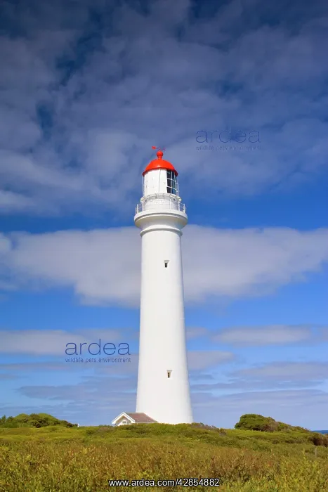 : Split Point Lighthouse - lighthouse sitting on : Split Point Lighthouse - lighthouse sitting on