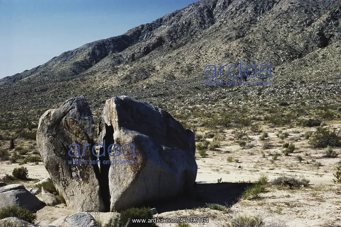 : Split Rock : Split Rock
