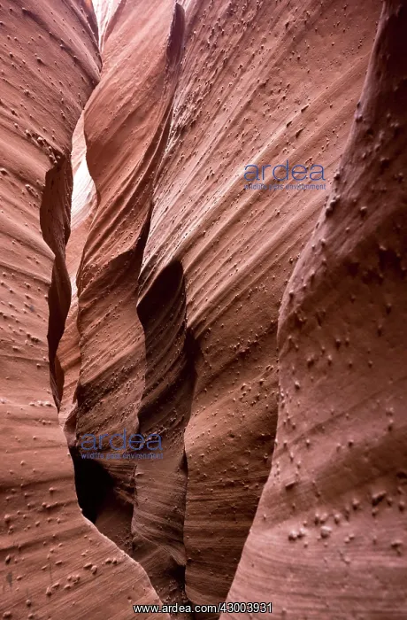 : Spooky slot canyon cut through Navajo sandstone : Spooky slot canyon cut through Navajo sandstone