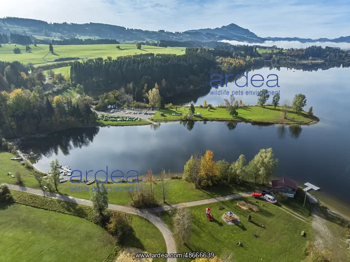 : Sports facility and bathing area, lake Rottachsee, at : Sports facility and bathing area, lake Rottachsee, at