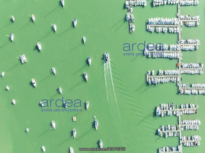 : Sports and fishing boats at the marina of the fishing village of Sancti Petri : Sports and fishing boats at the marina of the fishing village of Sancti Petri