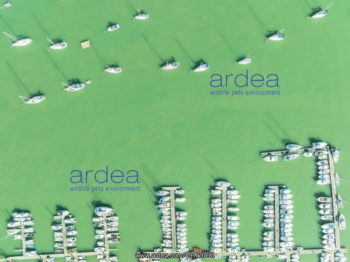 : Sports and fishing boats at the marina of the fishing village of Sancti Petri : Sports and fishing boats at the marina of the fishing village of Sancti Petri
