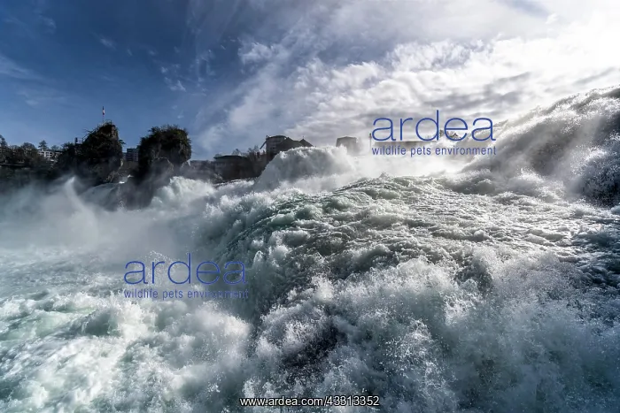 : Spray, waves, surf at the Rhine waterfall, Rhine : Spray, waves, surf at the Rhine waterfall, Rhine