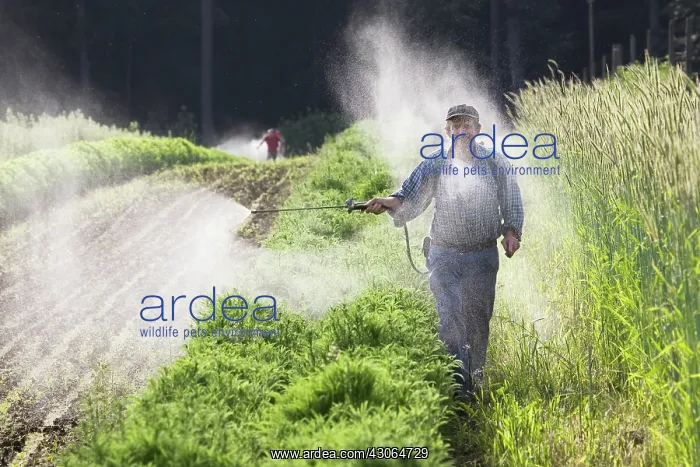 : Spraying fertiliser : Spraying fertiliser