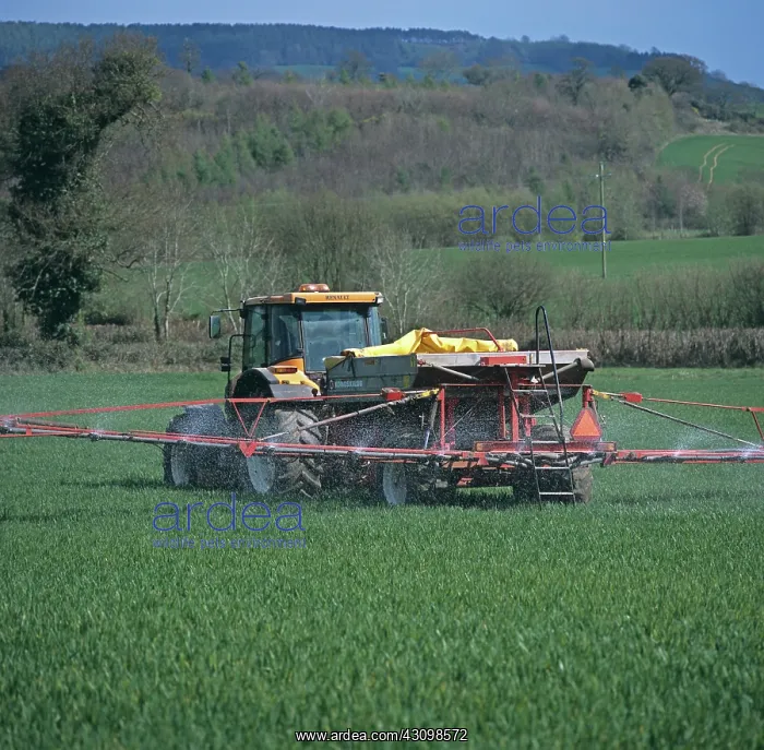 : Spreading Fertilizer on Wheat Crop : Spreading Fertilizer on Wheat Crop