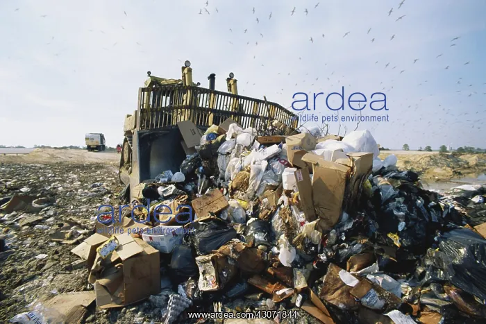: Spreading Waste in Landfill : Spreading Waste in Landfill