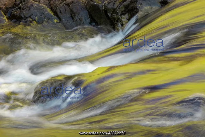 : Spring foliage colors and sky reflecting on ripples on small : Spring foliage colors and sky reflecting on ripples on small
