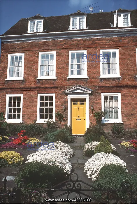 : SPRING GARDEN - FRONT OF HOUSE : SPRING GARDEN - FRONT OF HOUSE