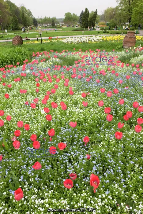 : Spring in Herastrau Park in the City center : Spring in Herastrau Park in the City center