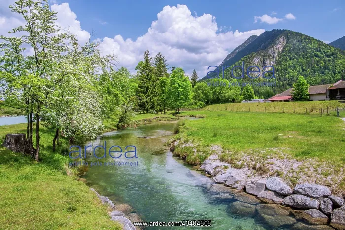: Spring Landscape with Mahlbach, Eschenlohe, Loisachtal : Spring Landscape with Mahlbach, Eschenlohe, Loisachtal