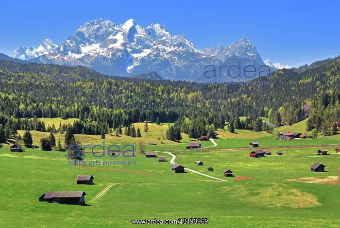 : Spring landscape with Zugspitze massif in the Wetterstein : Spring landscape with Zugspitze massif in the Wetterstein