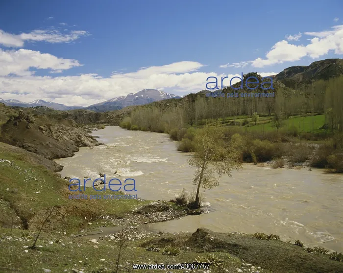 : Spring Thaw in Turkey : Spring Thaw in Turkey