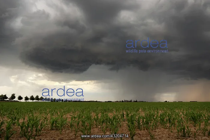 : Spring thunderstorms in the Eurelian region. Numerous : Spring thunderstorms in the Eurelian region. Numerous