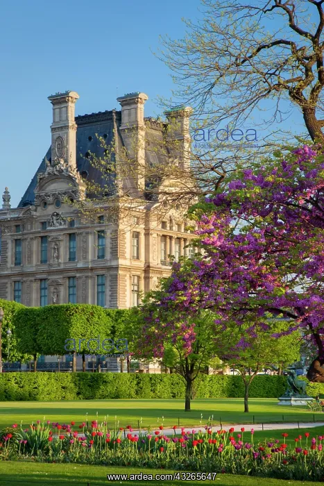 : Springtime in Jardin des Tuileries with : Springtime in Jardin des Tuileries with