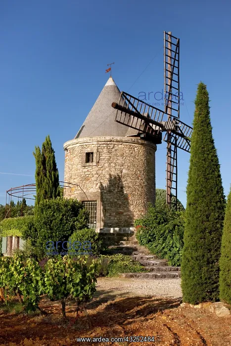 : Springtime at a windmill home and vineyard : Springtime at a windmill home and vineyard