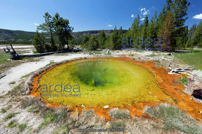  : Sprite Spring  /  Sprite Pool - Cascade Group Northwestern