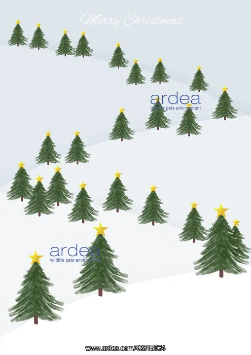  : Spruce trees winter scene illustration