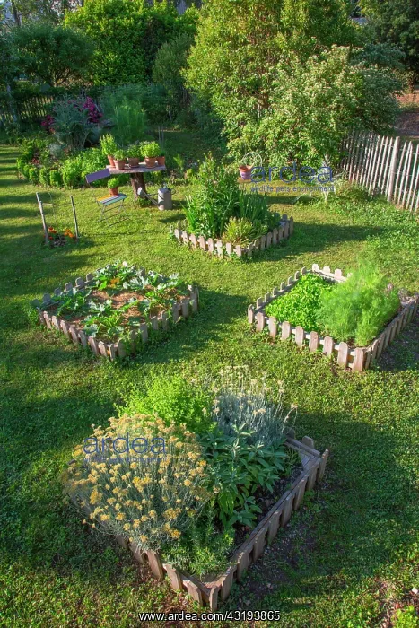 : Square foot kitchen garden in june, Provence, France : Square foot kitchen garden in june, Provence, France