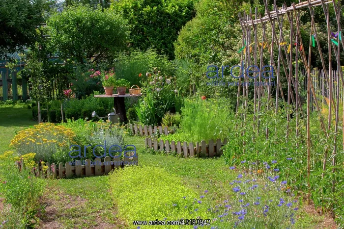: Square foot kitchen garden and tomatoes supported : Square foot kitchen garden and tomatoes supported