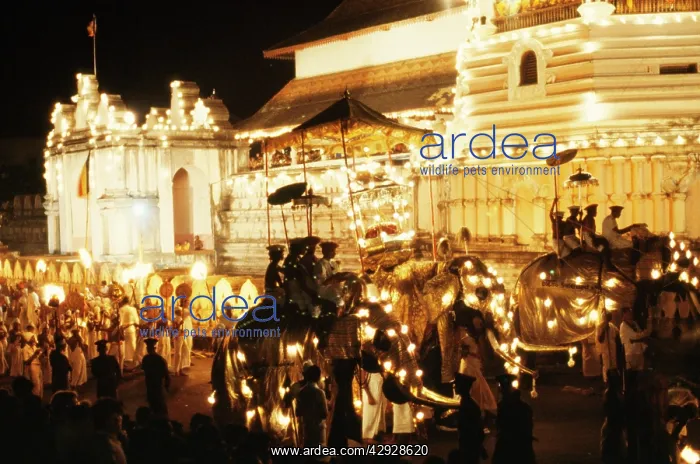 : Sri Lanka - Kandy PeraHera, golden casket of tooth : Sri Lanka - Kandy PeraHera, golden casket of tooth