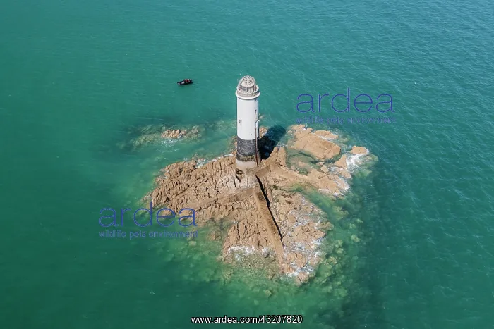 : Ssnsquet lighthouse on the rock of the same name : Ssnsquet lighthouse on the rock of the same name