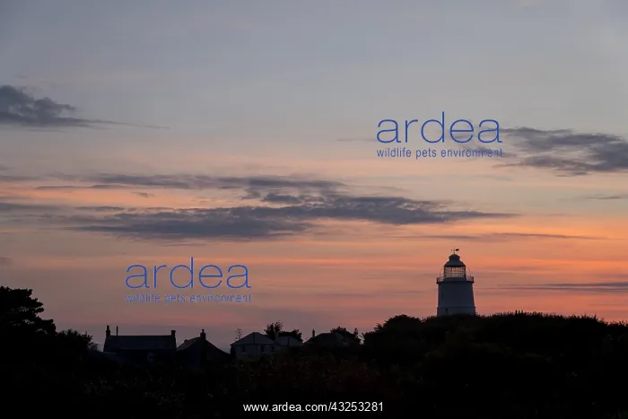 : St Agnes Lighthouse at Sunset - Isles of Scilly - UK : St Agnes Lighthouse at Sunset - Isles of Scilly - UK