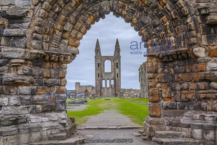 : St Andrews Cathedral - entrance portal and view : St Andrews Cathedral - entrance portal and view