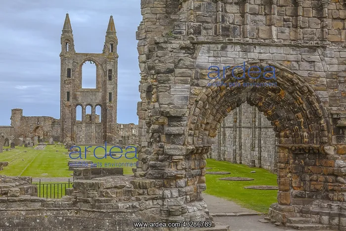 : St Andrews Cathedral - entrance portal and view : St Andrews Cathedral - entrance portal and view