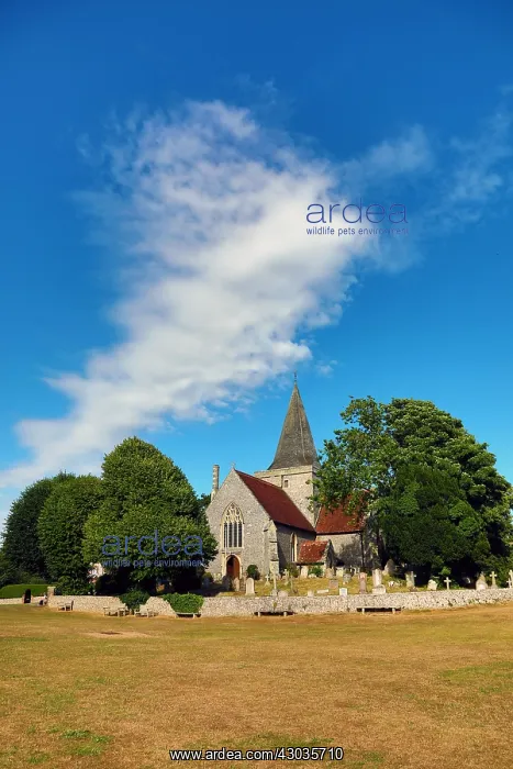: St Andrew's Church, Alfriston, West Sussex, England : St Andrew's Church, Alfriston, West Sussex, England