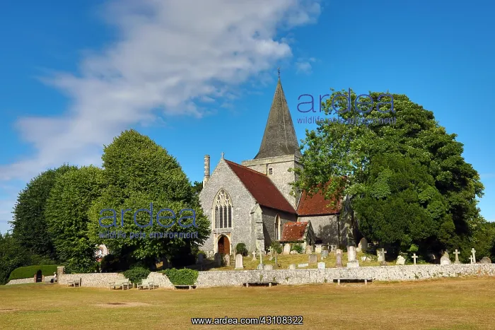 : St Andrew's Church, Alfriston, West Sussex, England : St Andrew's Church, Alfriston, West Sussex, England