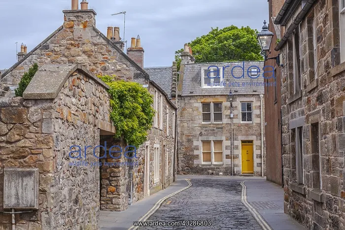 : St Andrews street scene - narrow alley in the tourist : St Andrews street scene - narrow alley in the tourist