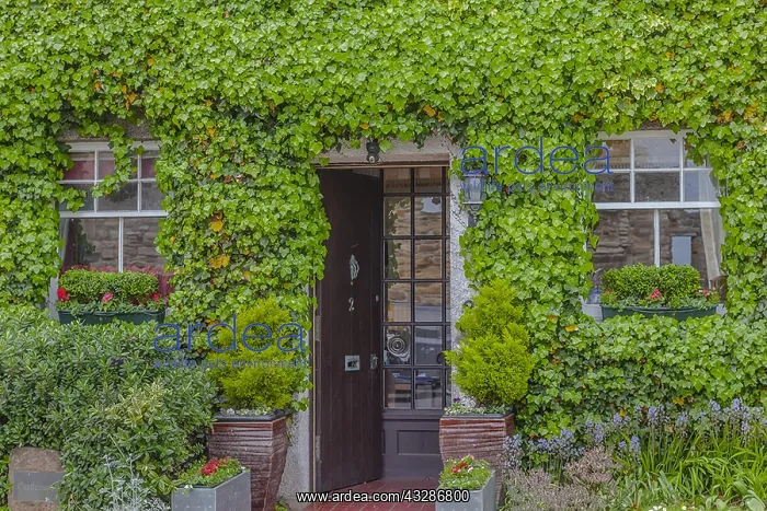 : St Andrews street scene - picturesque front of a : St Andrews street scene - picturesque front of a