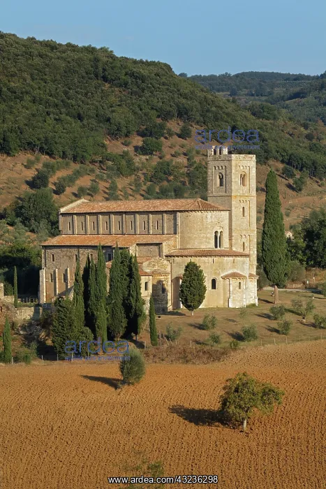 : St. Antimo Abbey (Abbazia di Sant'Antimo) : St. Antimo Abbey (Abbazia di Sant'Antimo)