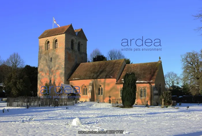 : St Bartholomew Church : St Bartholomew Church