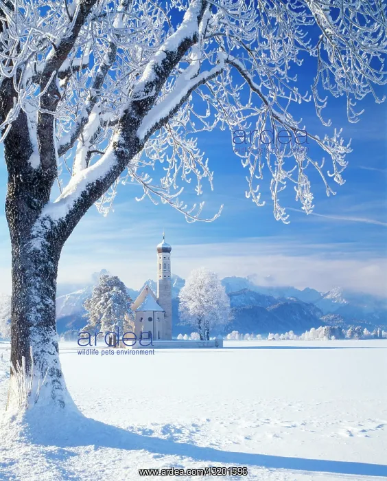  : St. Coloman Pilgrimage Church near Fuessen, Allgaeu