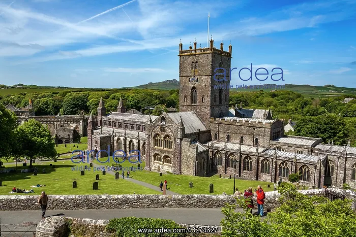 : St Davids Cathedral - Pembrokeshire - Wales - UK : St Davids Cathedral - Pembrokeshire - Wales - UK