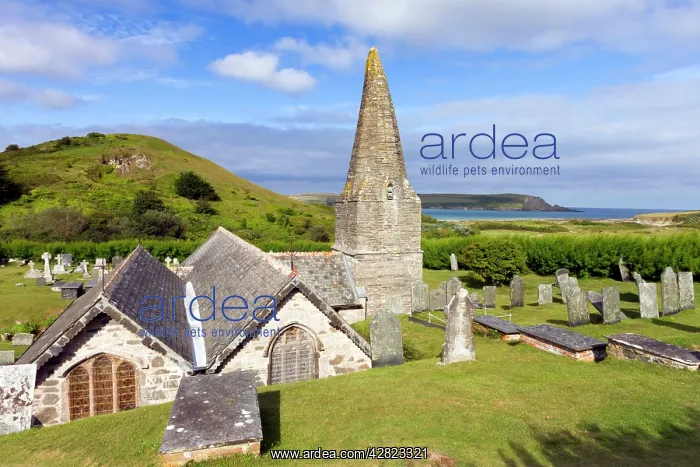  : St Enodoc Church - Rock