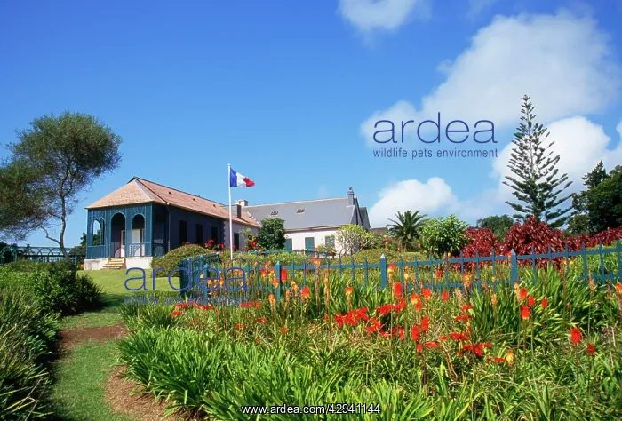 : St Helena - longwood house and gardens, Napoleon's prison : St Helena - longwood house and gardens, Napoleon's prison
