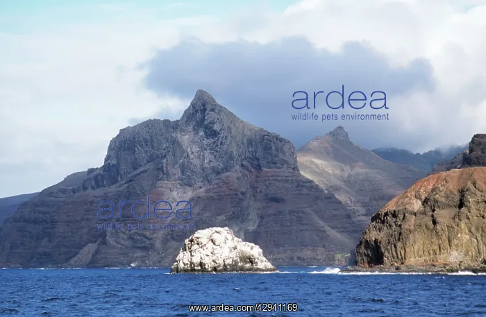 : St Helena - at south east side, George Island : St Helena - at south east side, George Island