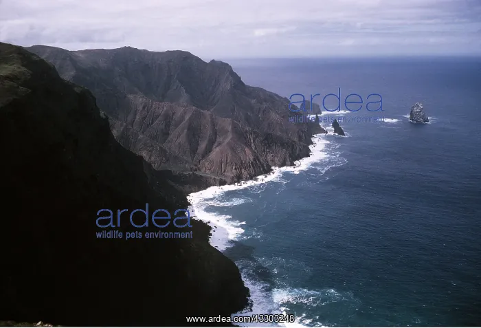 : ST HELENA - South west cliffs, or Man & Horse : ST HELENA - South west cliffs, or Man & Horse