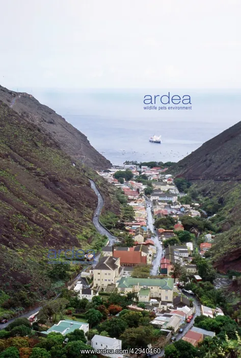  : St Helena - View of Jamestown