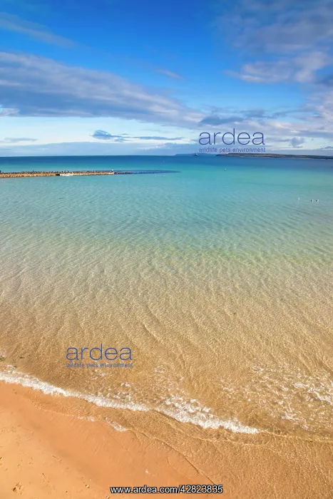  : St Ives - beach