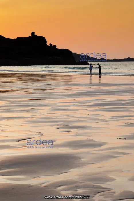 : St Ives - beach at sunset : St Ives - beach at sunset