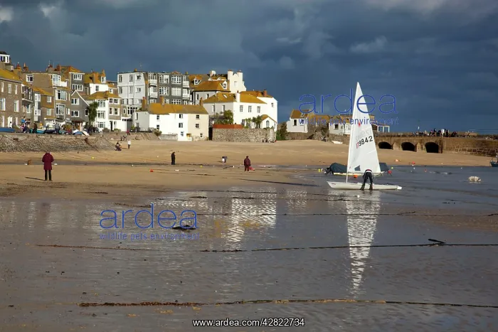 : St Ives - harbour beach at low tide - under storm clouds : St Ives - harbour beach at low tide - under storm clouds