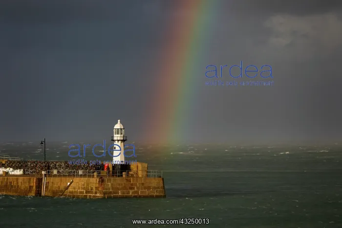  : St Ives Pier with Rainbow - Cornwall - UK