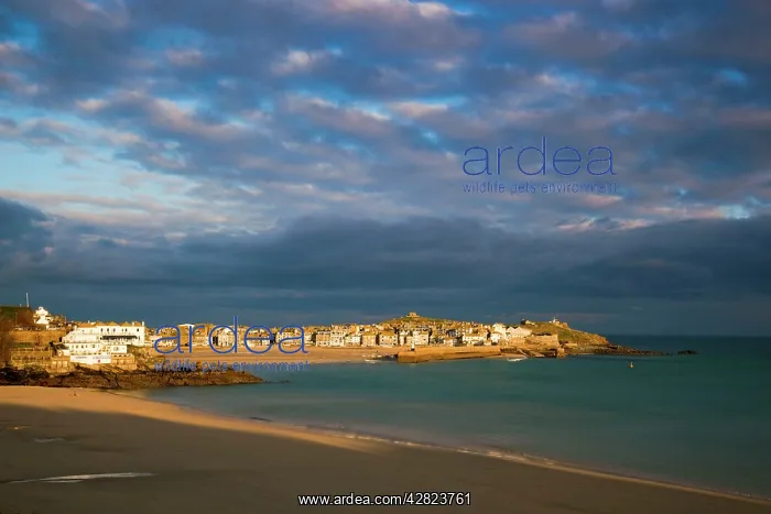 : St Ives - Porthminster beach in foreground : St Ives - Porthminster beach in foreground