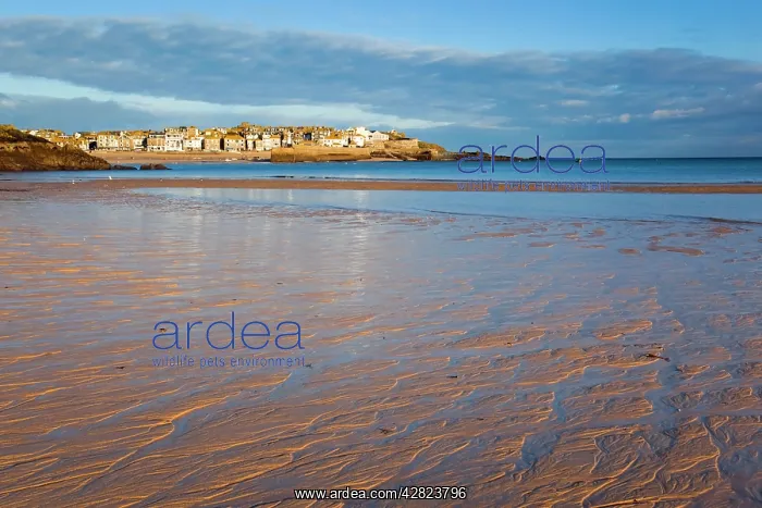 : St Ives - Porthminster beach in foreground : St Ives - Porthminster beach in foreground