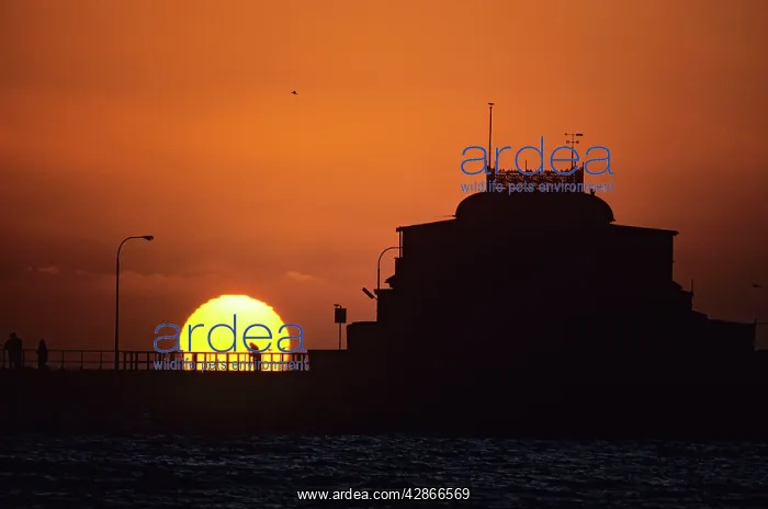 : St Kilda Pier at sunset Melbourne : St Kilda Pier at sunset Melbourne