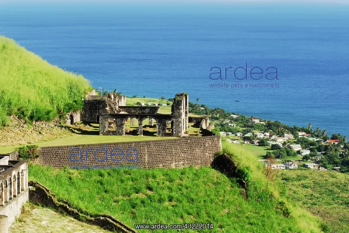 : St Kitts and Nevis, Brimstone Hill, Brimstone : St Kitts and Nevis, Brimstone Hill, Brimstone